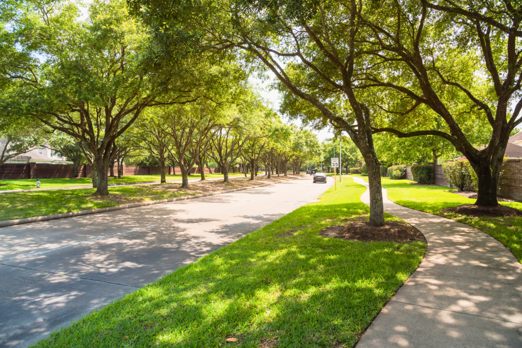 Tree Equity and Extreme Heat
